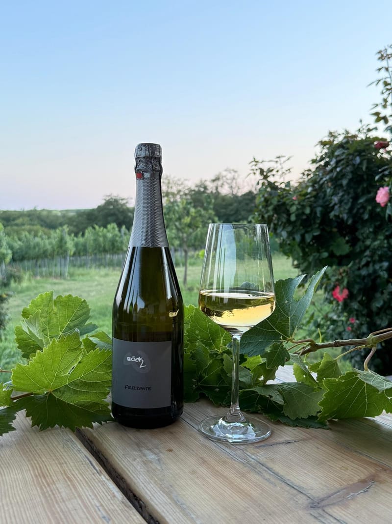 Frizzante Schaumwein